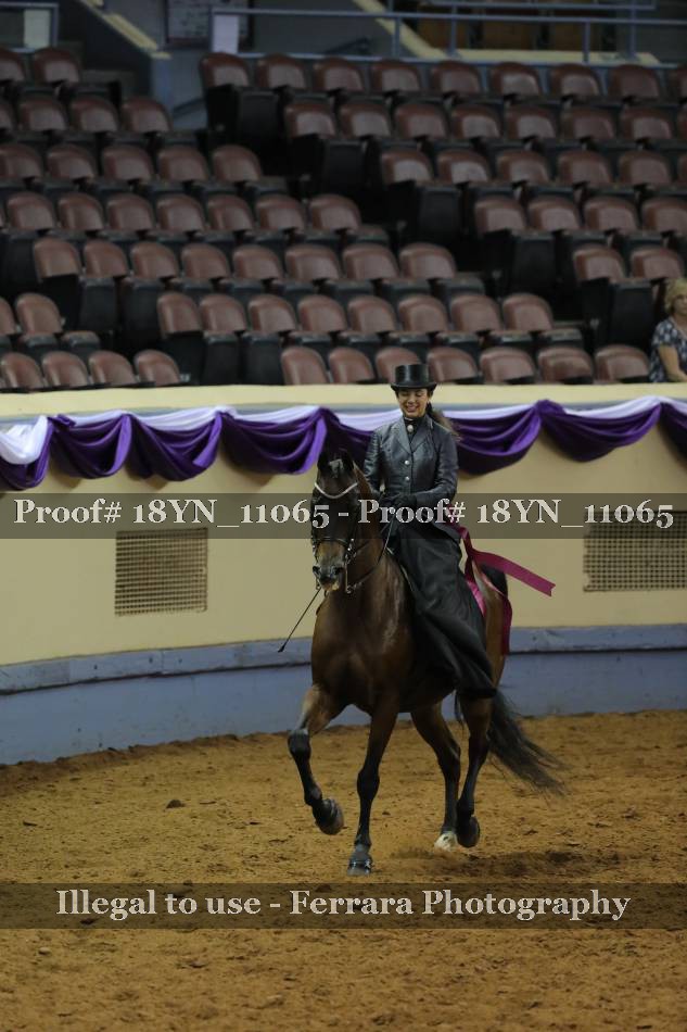 Proof 18YN_11065