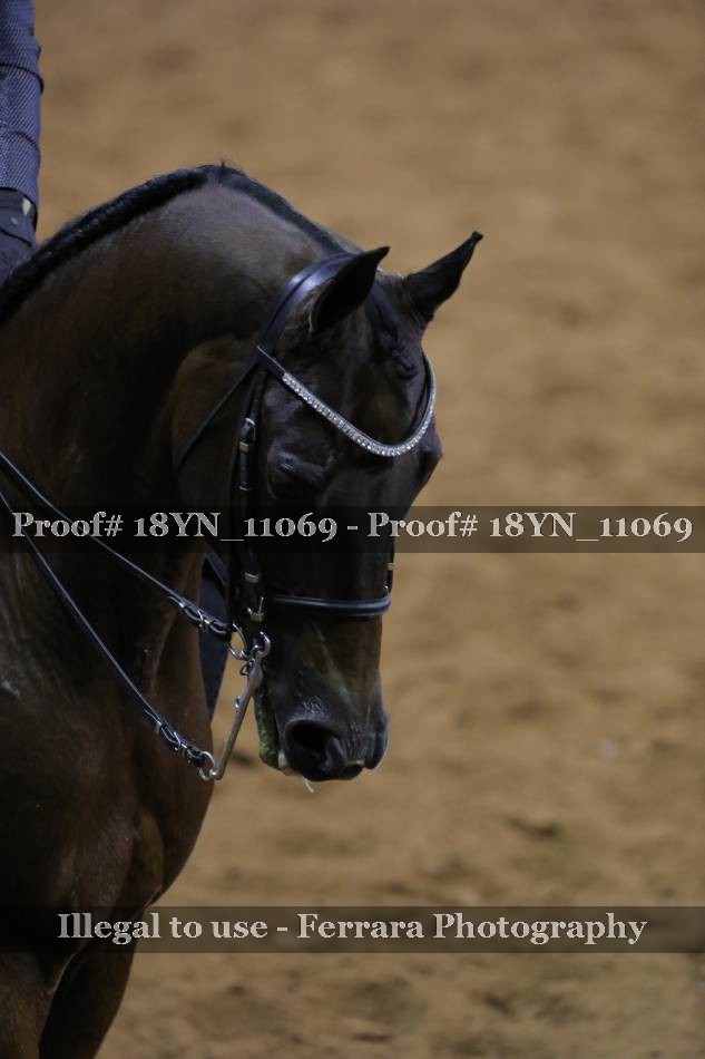 Proof 18YN_11069