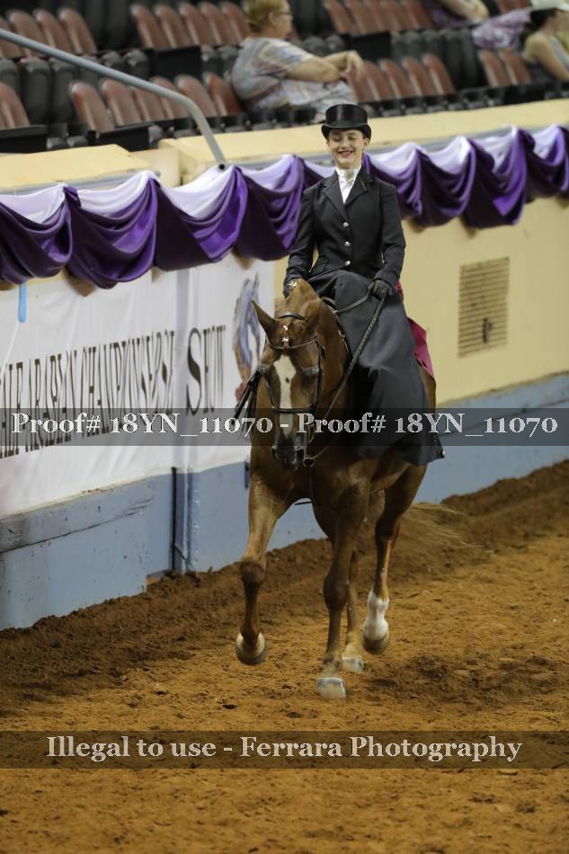 Proof 18YN_11070