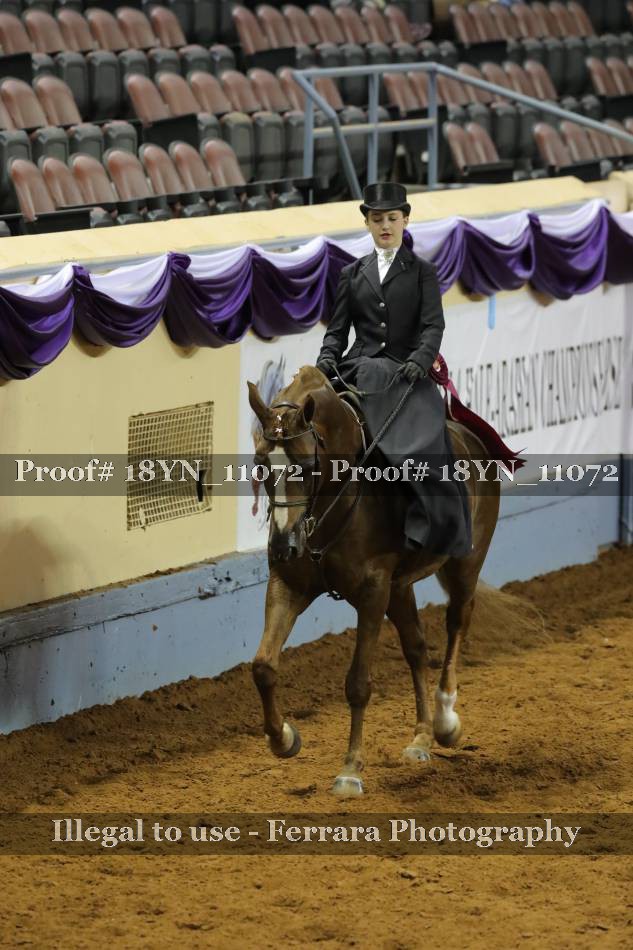 Proof 18YN_11072