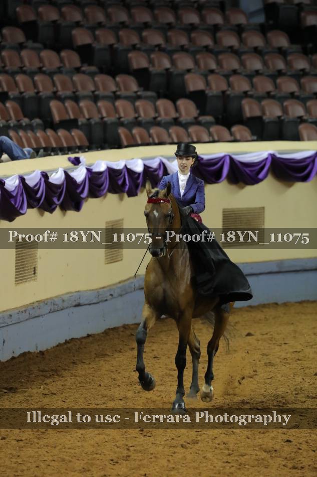 Proof 18YN_11075