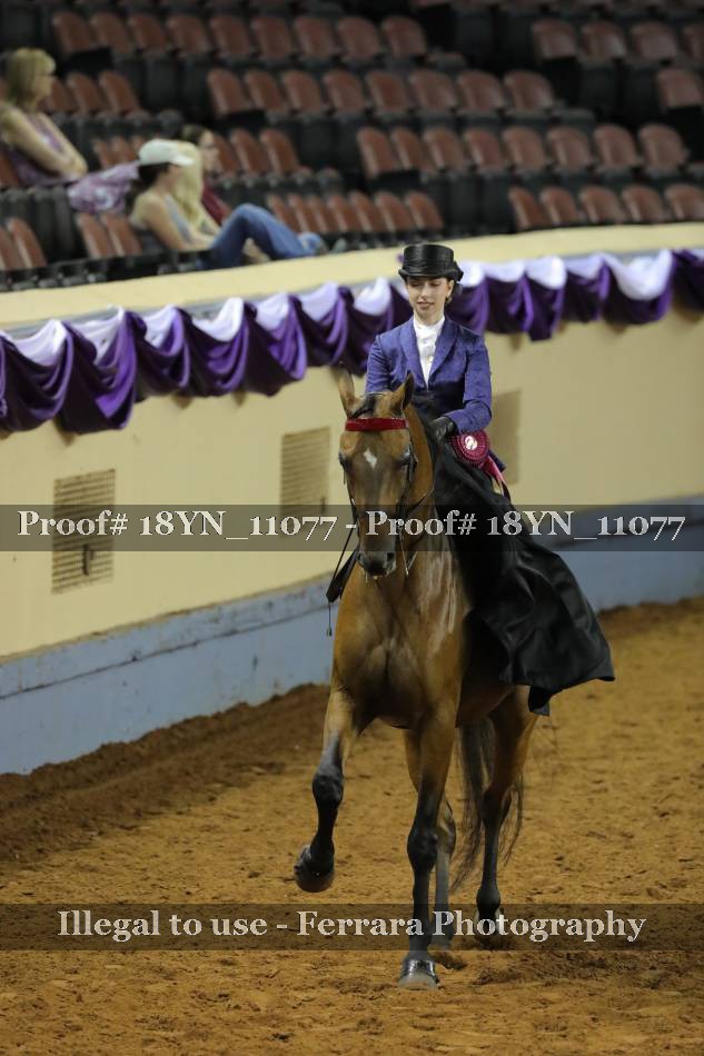 Proof 18YN_11077