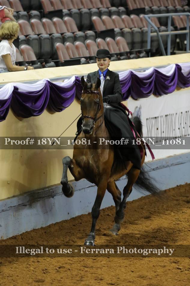 Proof 18YN_11081