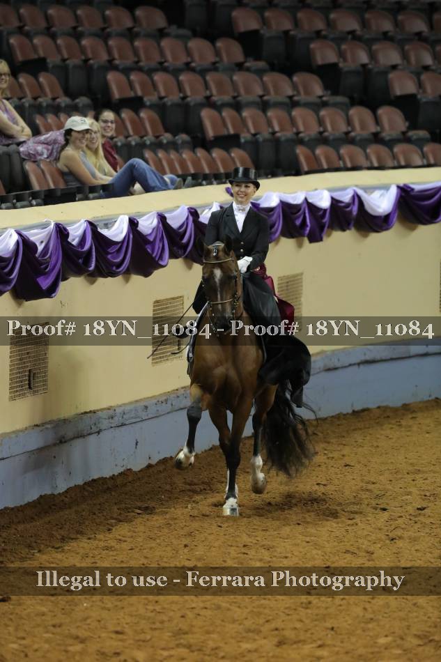 Proof 18YN_11084
