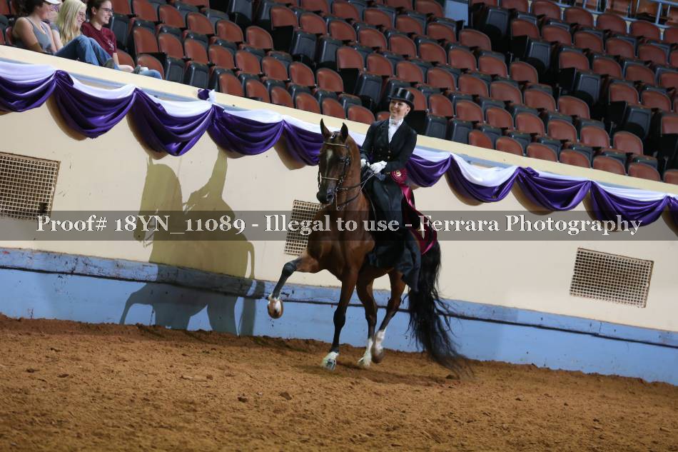 Proof 18YN_11089