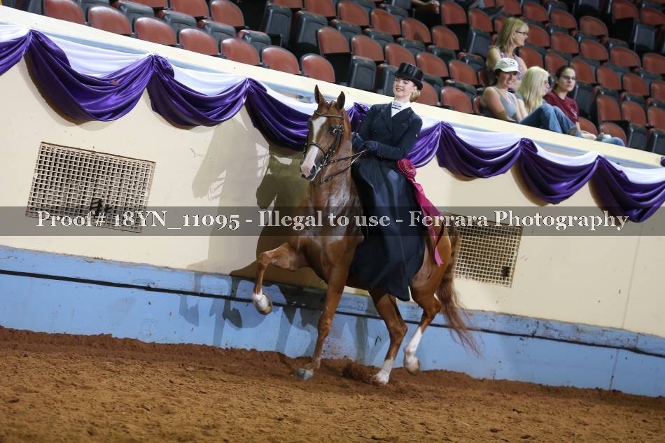 Proof 18YN_11095