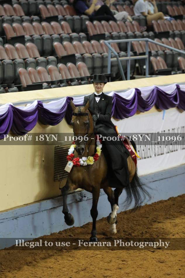 Proof 18YN_11096
