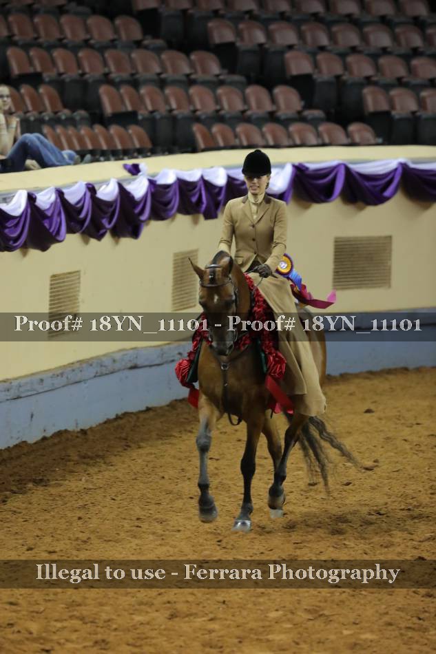 Proof 18YN_11101