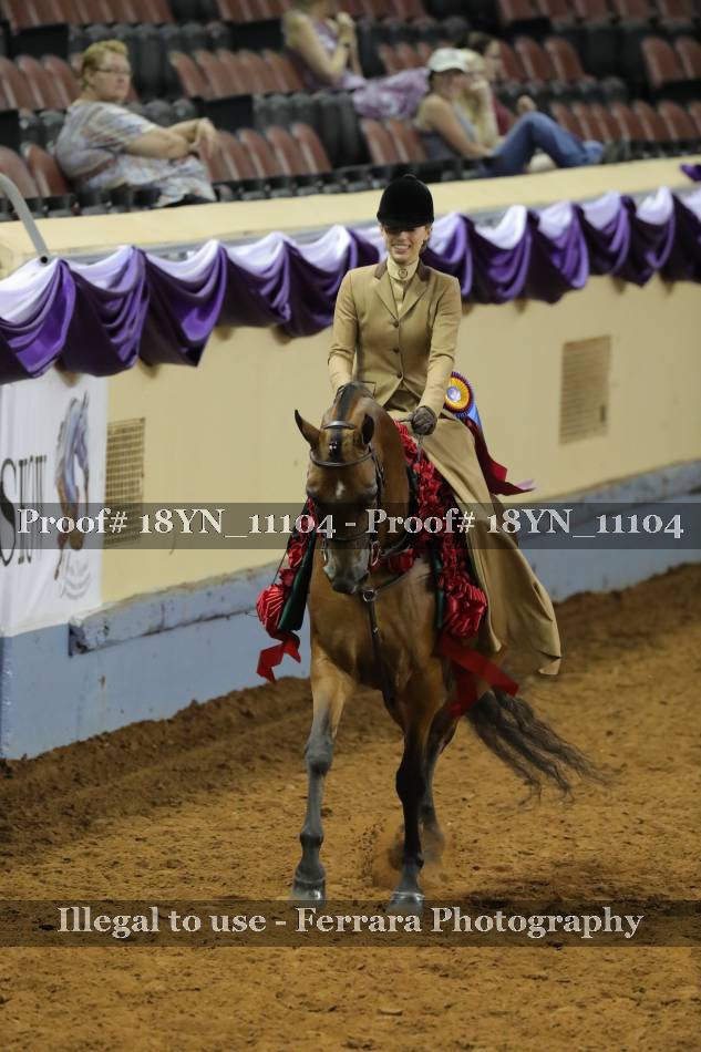 Proof 18YN_11104