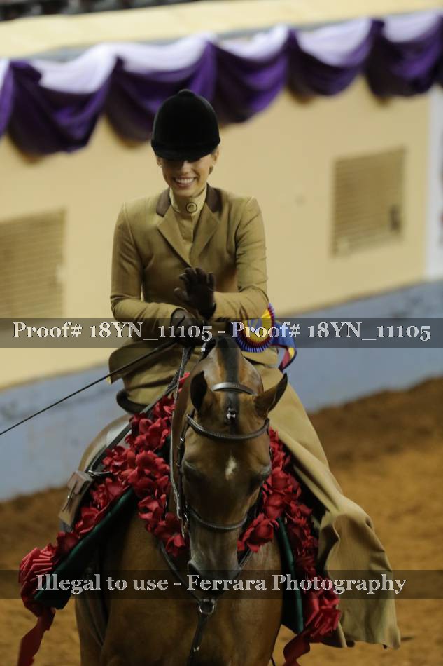 Proof 18YN_11105
