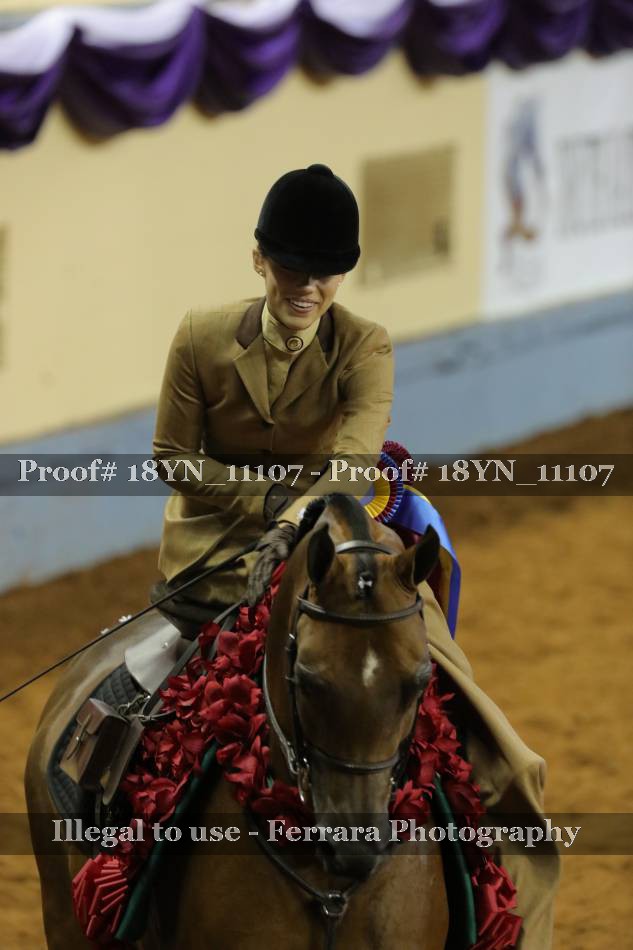 Proof 18YN_11107