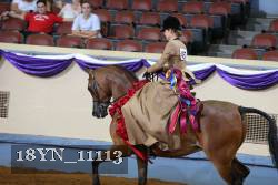 18YN_11113 proof