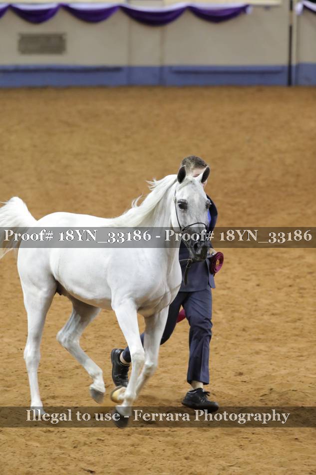 Proof 18YN_33186