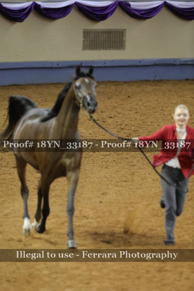 Proof 18YN_33187