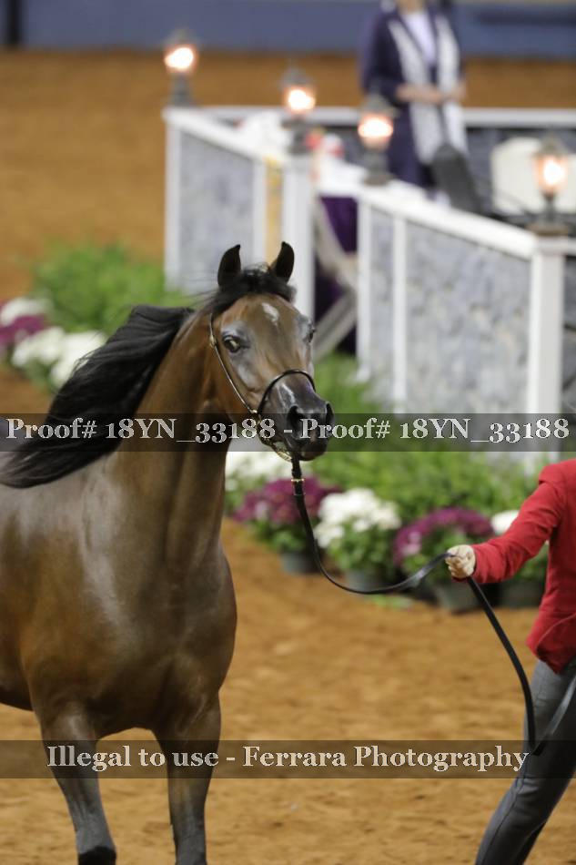 Proof 18YN_33188