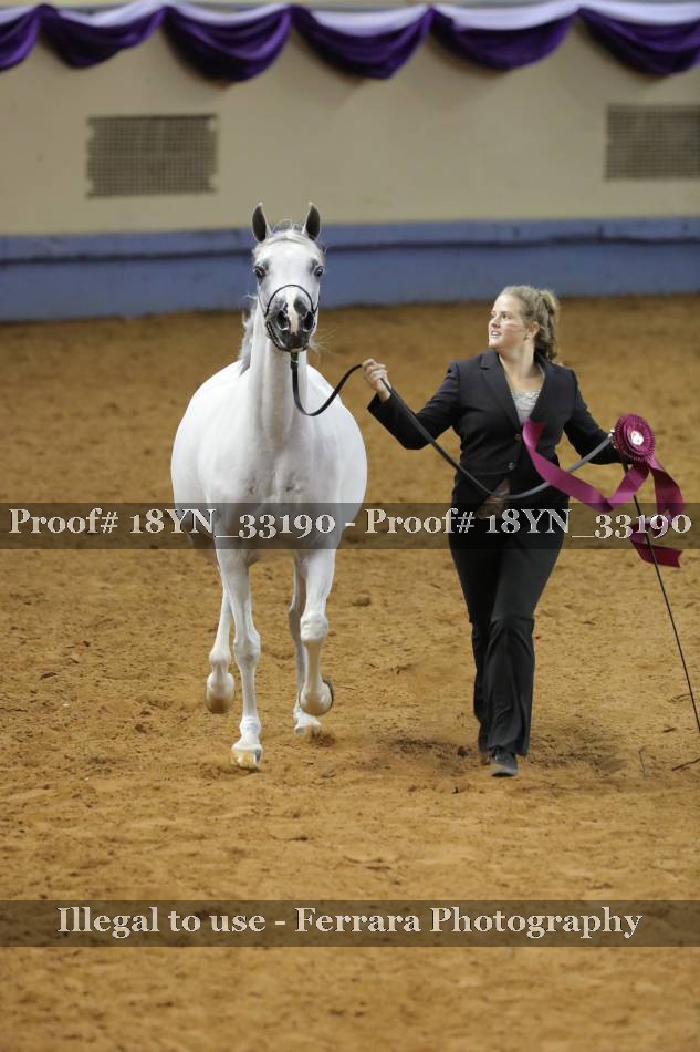 Proof 18YN_33190