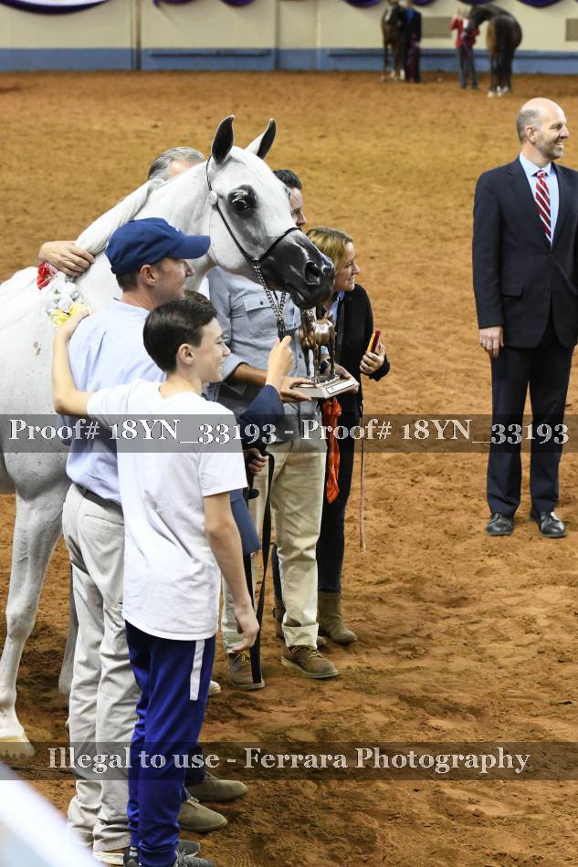 Proof 18YN_33193