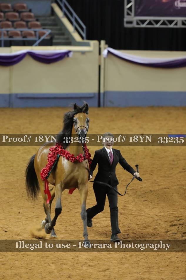 Proof 18YN_33235