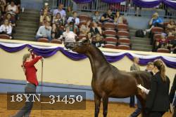 18YN_31450 proof