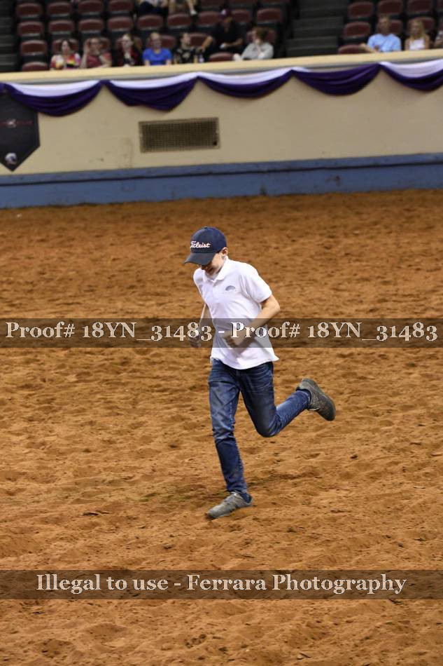 Proof 18YN_31483