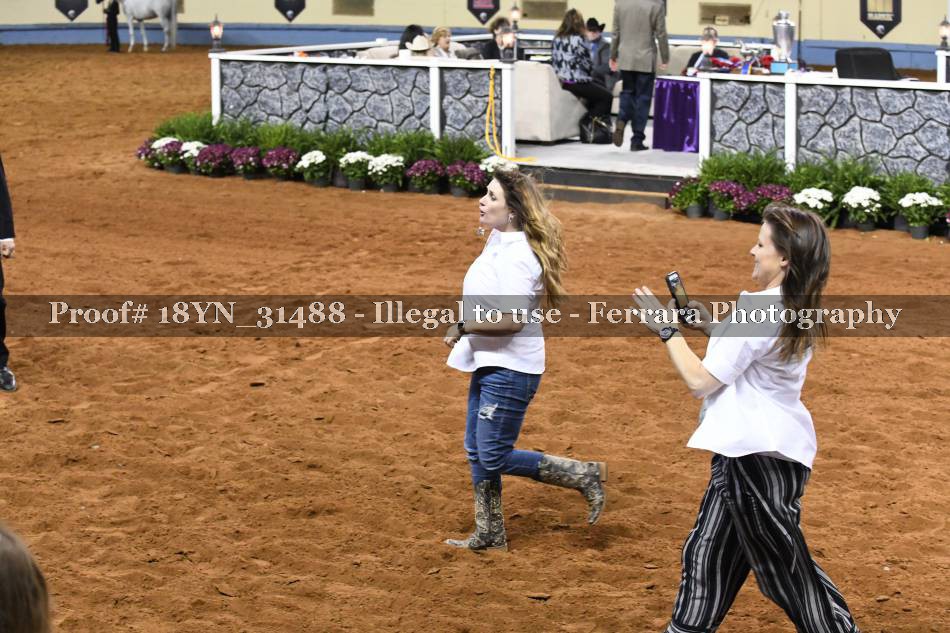 Proof 18YN_31488