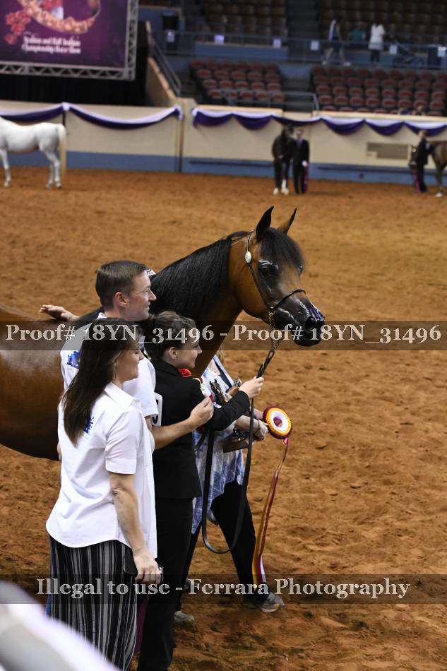 Proof 18YN_31496
