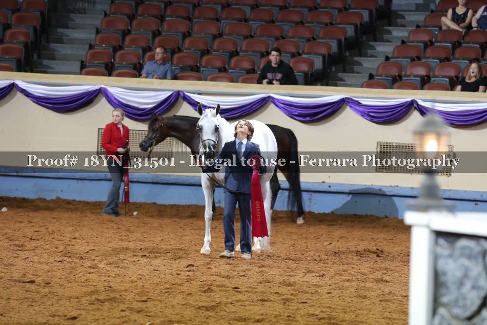 Proof 18YN_31501
