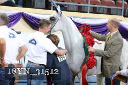 18YN_31512 proof