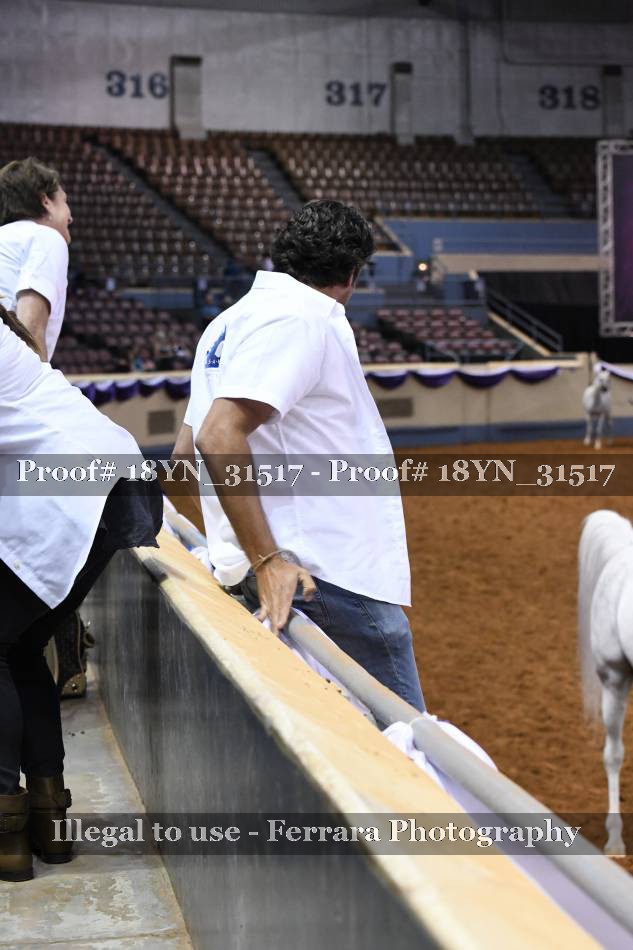 Proof 18YN_31517