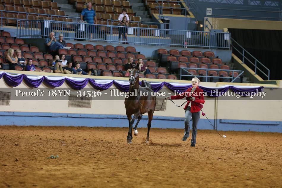 Proof 18YN_31536
