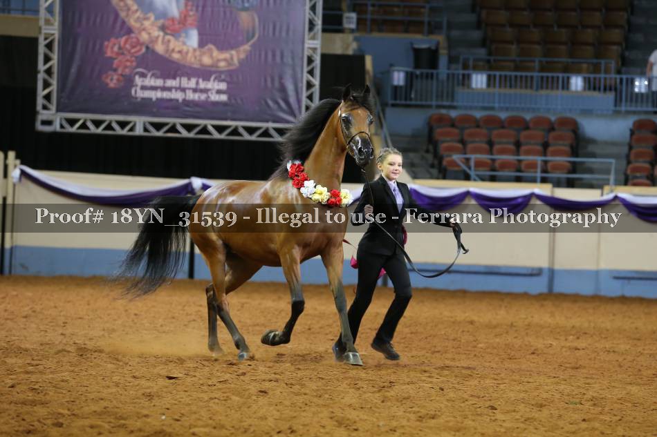 Proof 18YN_31539