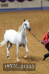 18YN_31555 proof