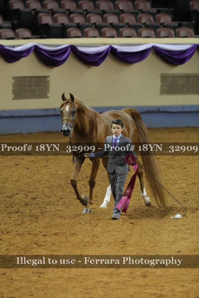 Proof 18YN_32909