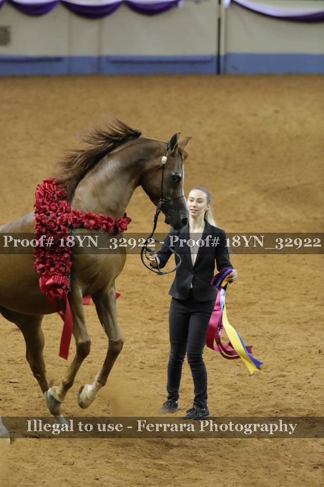 Proof 18YN_32922
