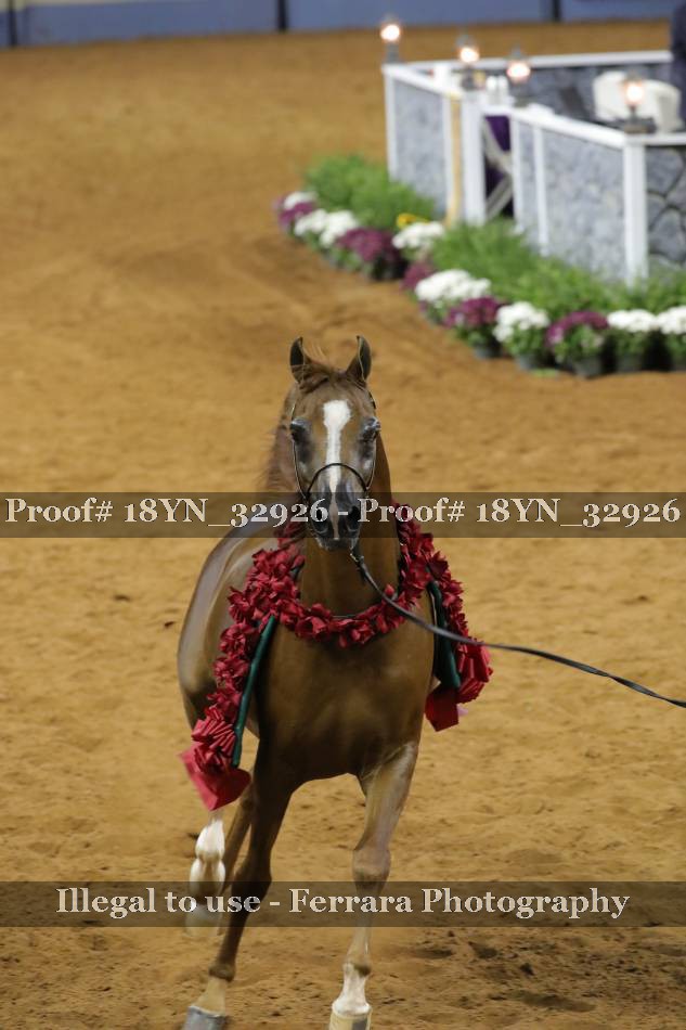 Proof 18YN_32926