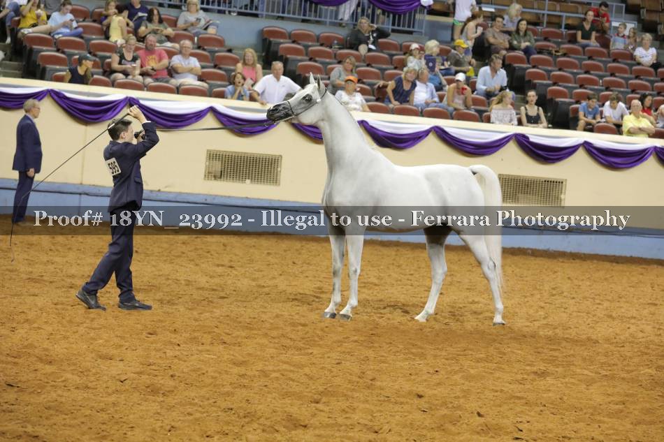 Proof 18YN_23992