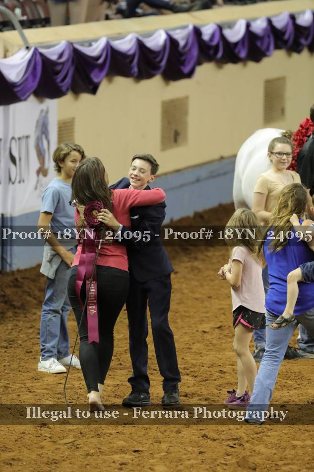 Proof 18YN_24095