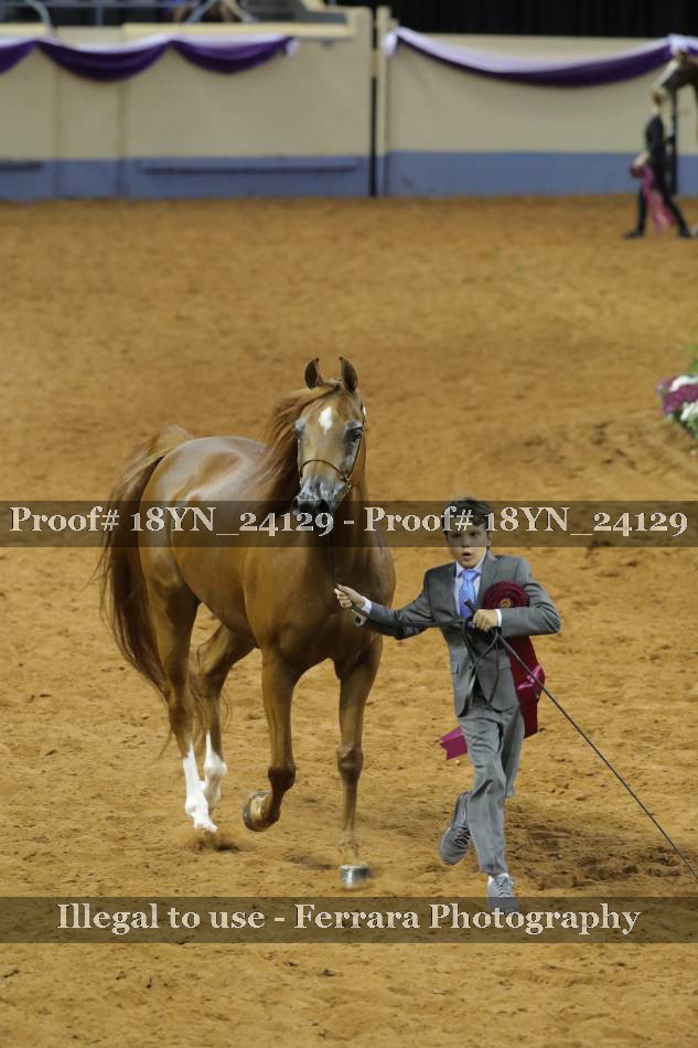 Proof 18YN_24129