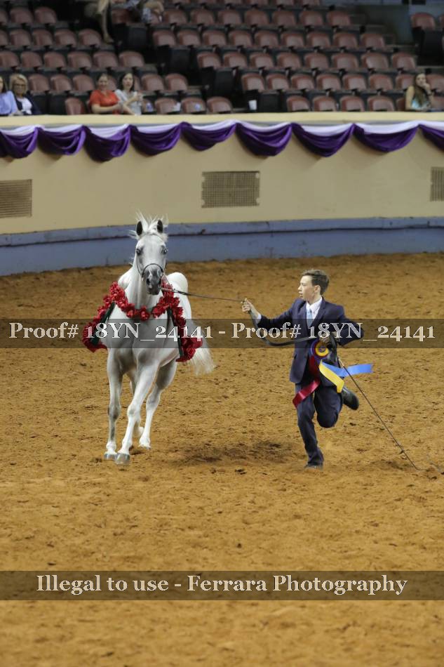 Proof 18YN_24141