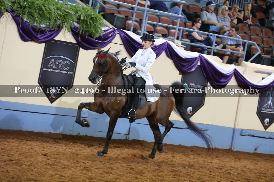 Proof 18YN_24196