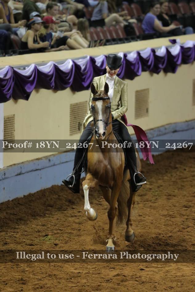 Proof 18YN_24267