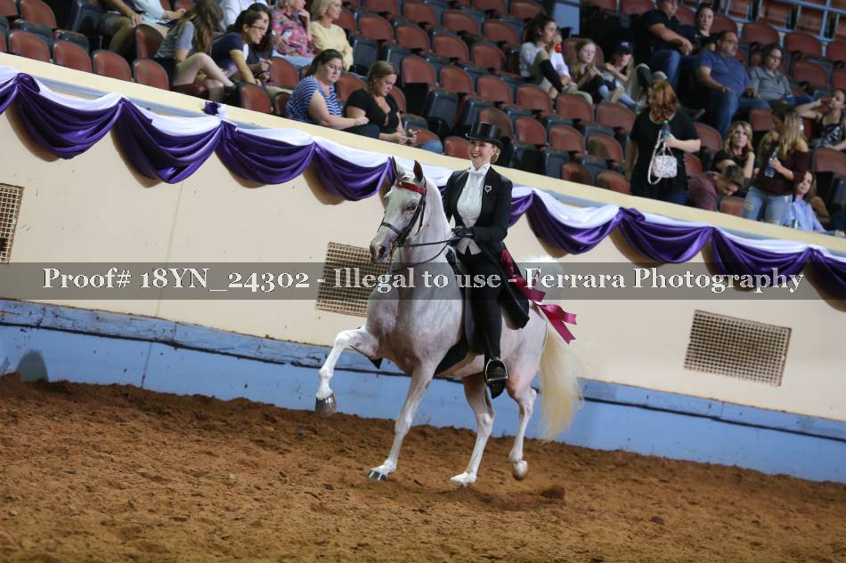 Proof 18YN_24302