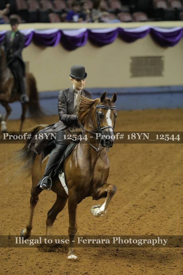 Proof 18YN_12544