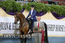 18YN_12585 proof