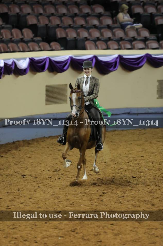 Proof 18YN_11314
