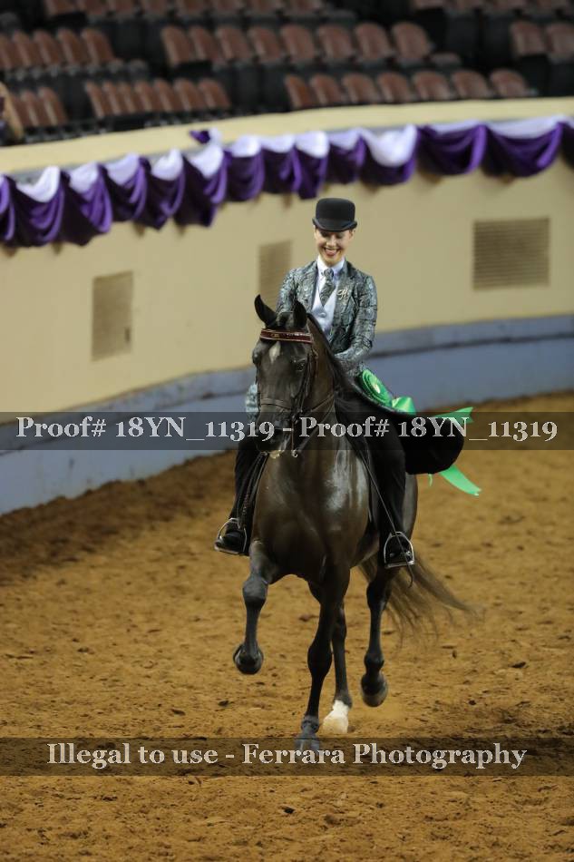 Proof 18YN_11319