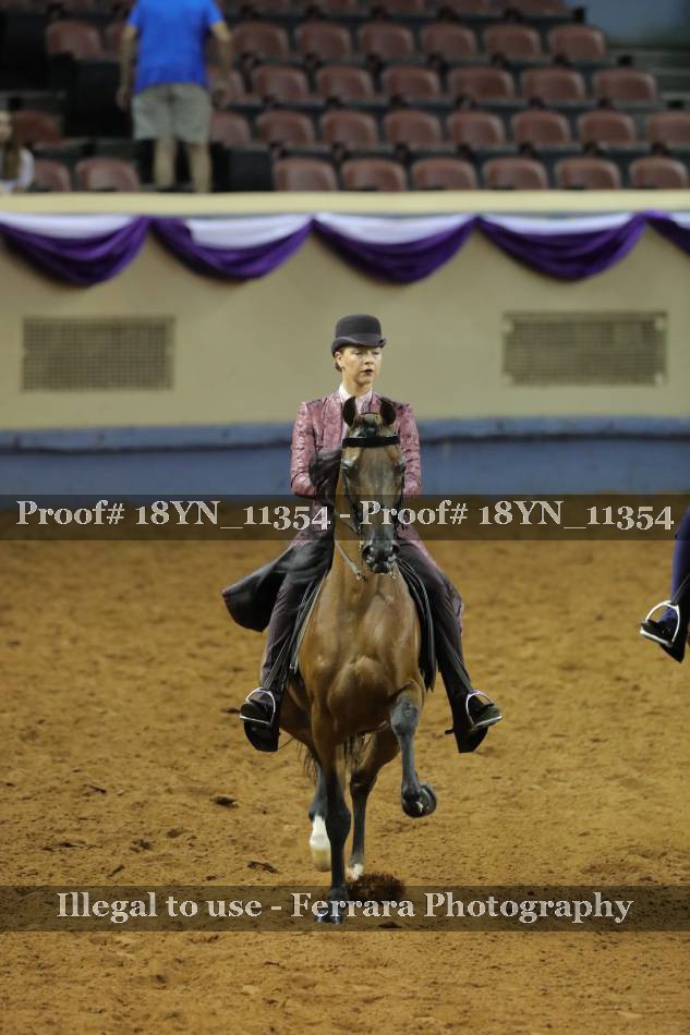 Proof 18YN_11354