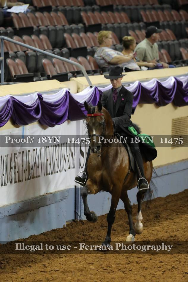 Proof 18YN_11475