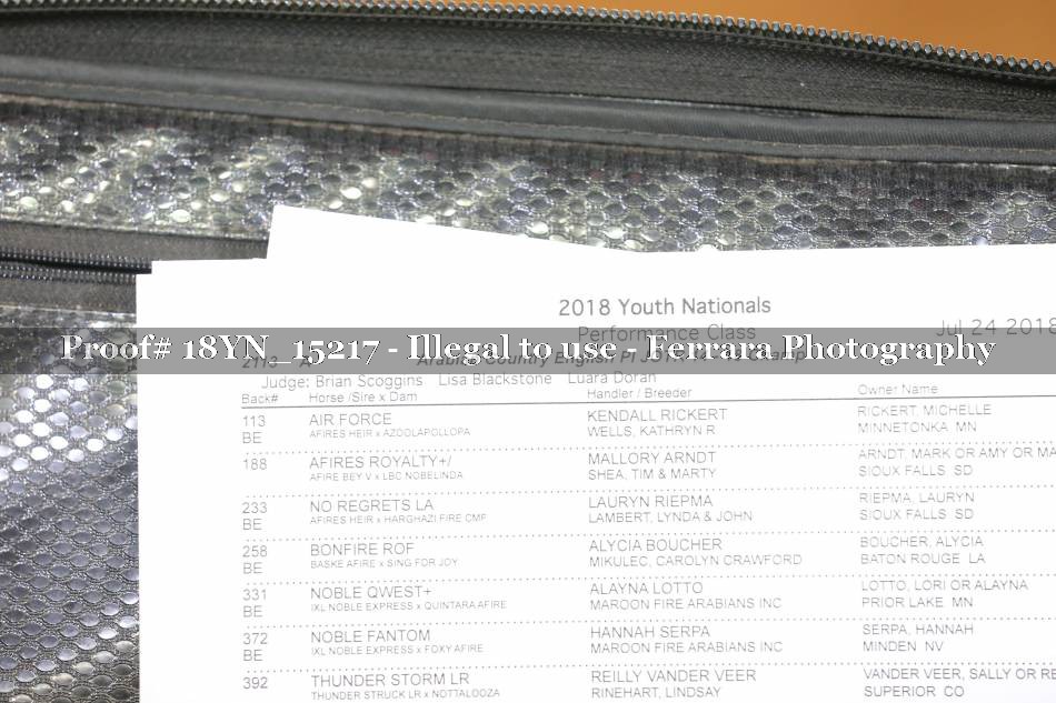 Proof 18YN_15217
