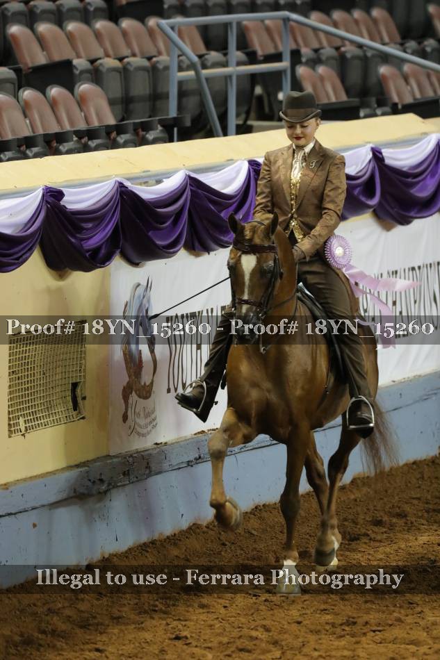 Proof 18YN_15260